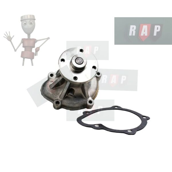 Bomba de agua P-2195